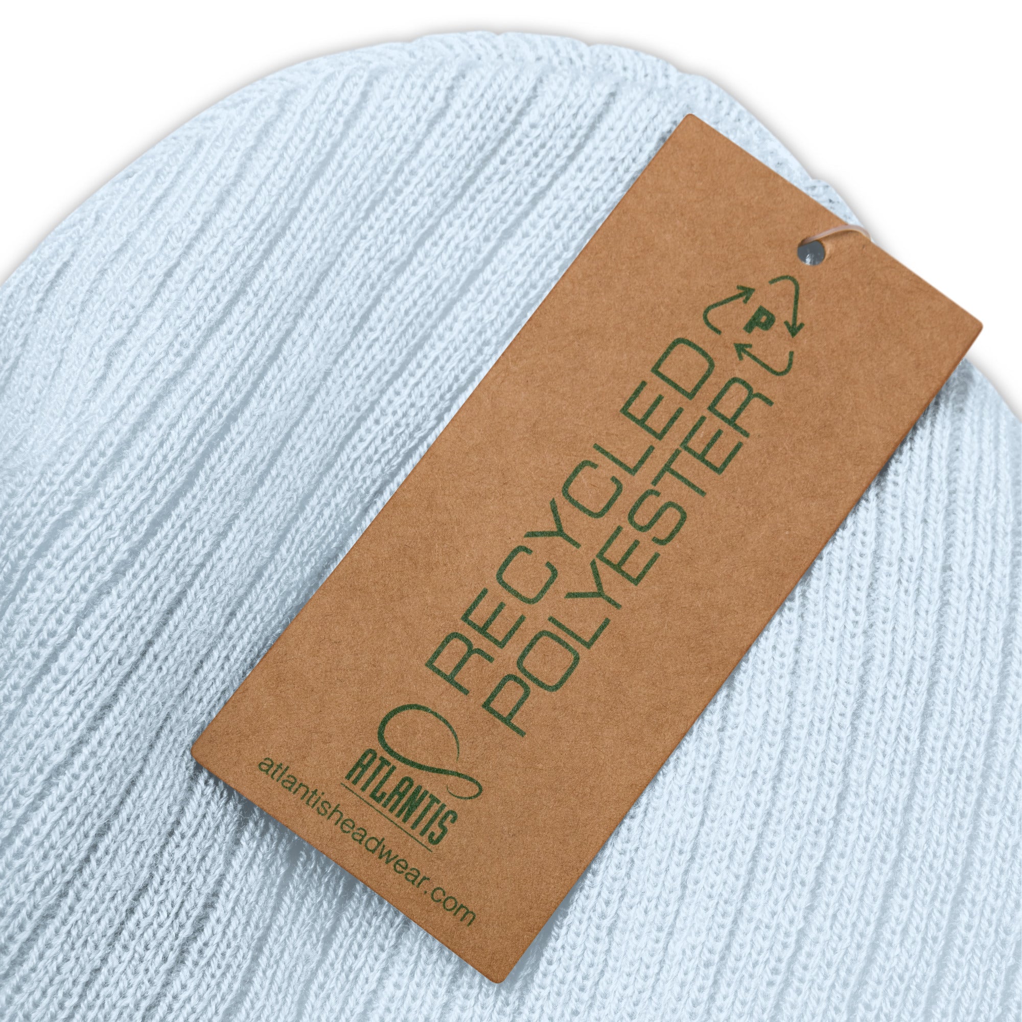 Pay Pig - Ribbed knit beanie