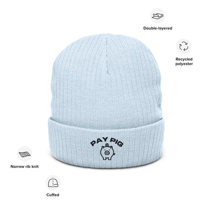 Pay Pig - Ribbed knit beanie